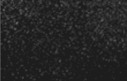 Deep Matte RAL 9005