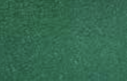 RAL 6005