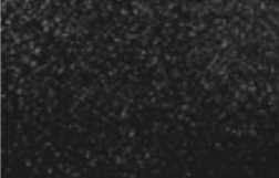 RAL 9005