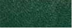 RAL 6005
