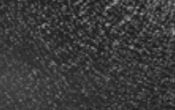 RAL 9005