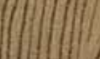 002 WOOD