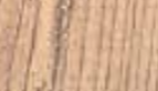 009 WOOD