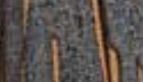 012 WOOD